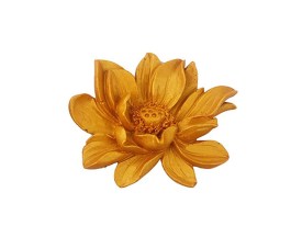 Molde silicona GERBERA 